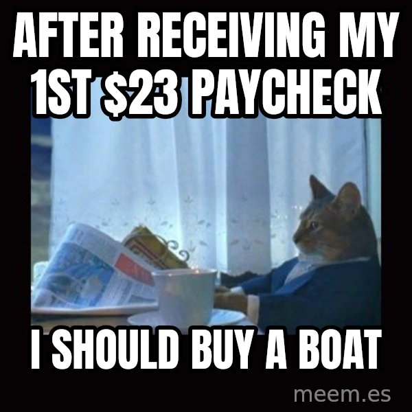 i should buy a boat cat meme: After RECEIVING my 1st $23 paycheck / I should buy a boat
