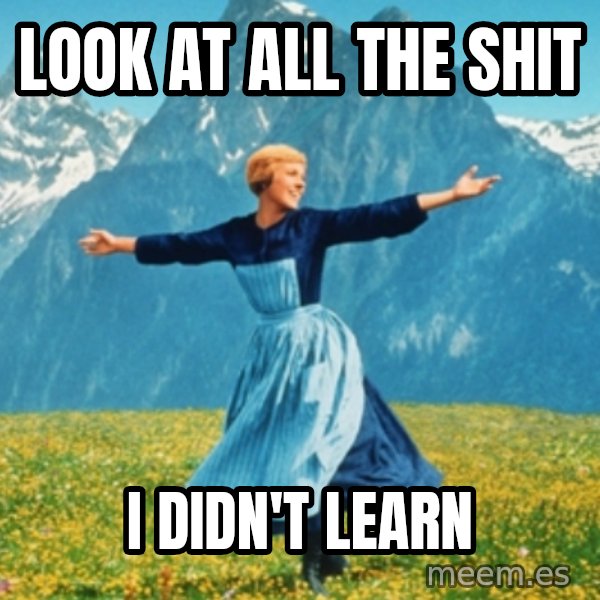 Sound Of Music Lady meme: Look at all the shit / i didn't learn