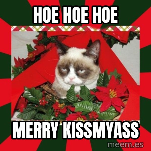 GRUMPY CAT ON CHRISTMAS meme: Hoe Hoe hoe / merry kissmyass