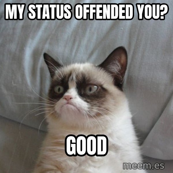 Grumpy cat good meme: My status offended you? / Good