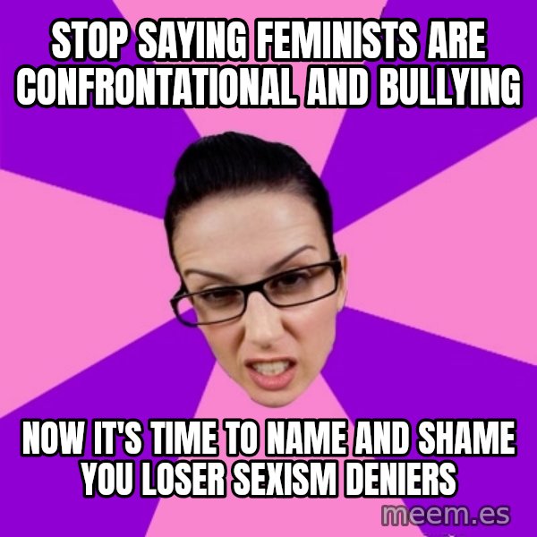 Privilege Denying Feminist meme: stop saying feminists are confrontational and bullying / now it's time to name and shame you loser sexism deniers