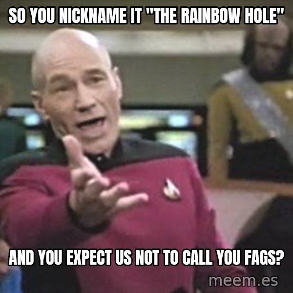 Captain Picard meme: So you nickname it "the rainbow hole" / and you expect us not to call you fags?