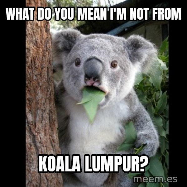Koala can't believe it meme: what do you mean i'm not from / koala lumpur?
