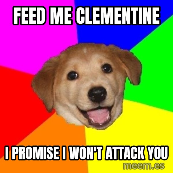 Advice Dog meme: FEED ME CLEMENTINE / I PROMISE I WON'T ATTACK YOU