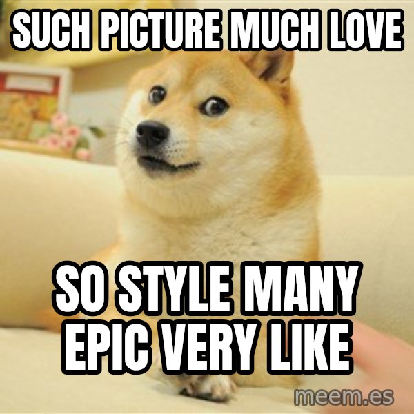 so doge meme: Such picture  much love / so style  many epic  very like