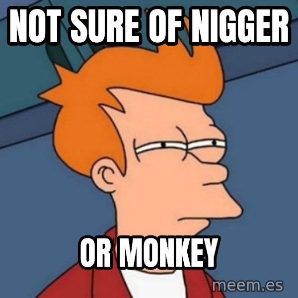 Not sure if troll meme: not sure of nigger / or monkey