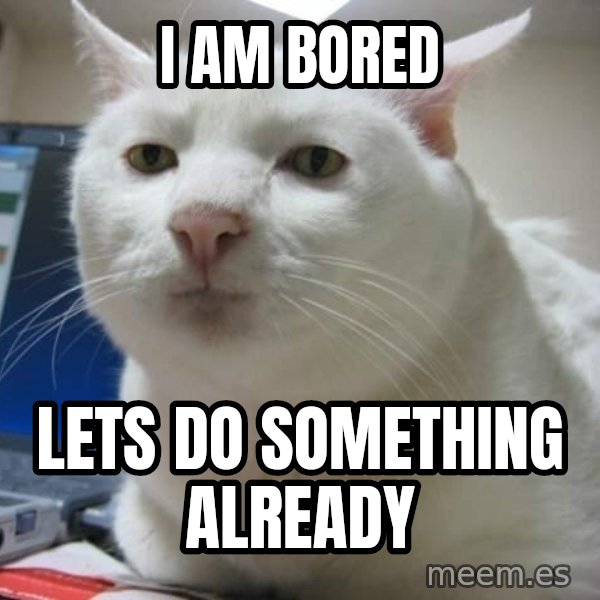 Serious Cat meme: i am bored / lets do something already