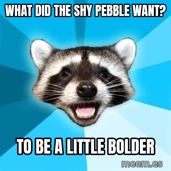 Lame Pun Coon meme: WHAT DID THE SHY PEBBLE WANT? / TO BE A LITTLE BOLDER