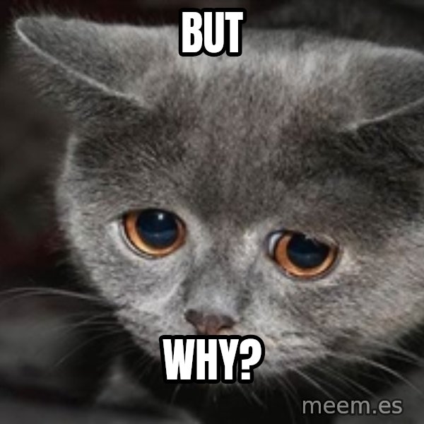 Sadcat meme: But / why?