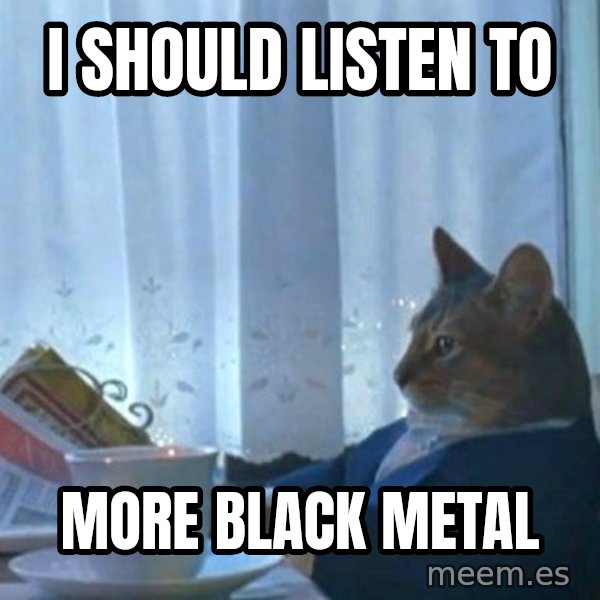 newspaper cat realization meme: I should listen to / more black metal