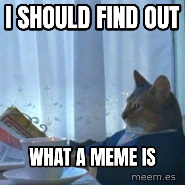newspaper cat realization meme: I should find out / what a meme is