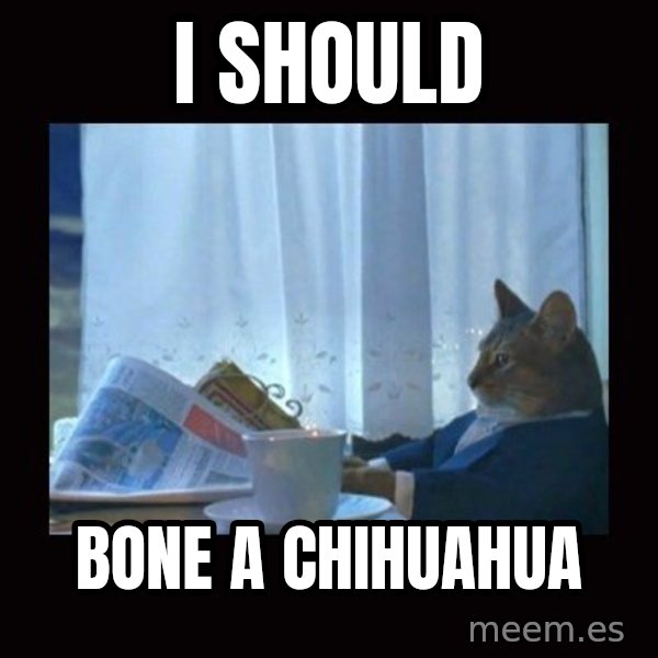i should buy a boat cat meme: I Should / bone a chihuahua