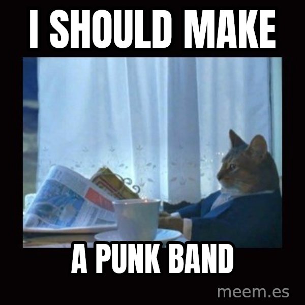 i should buy a boat cat meme: i should make / a punk band