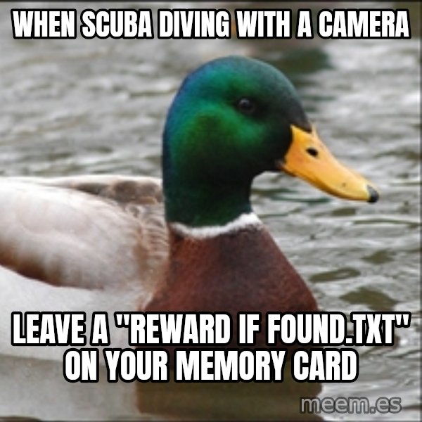 Actual Advice Mallard 1 meme: When scuba diving with a camera / Leave a "reward if found.txt" on your MEMORY card