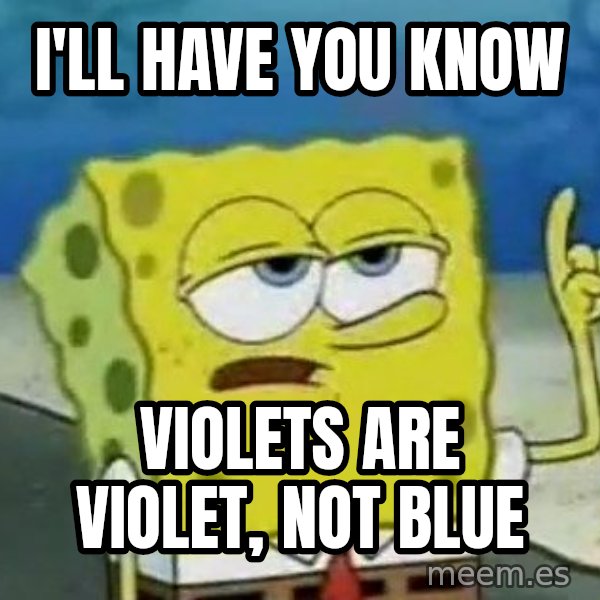 Tough Spongebob meme: I'll have you know / Violets are VIOLET, not blue
