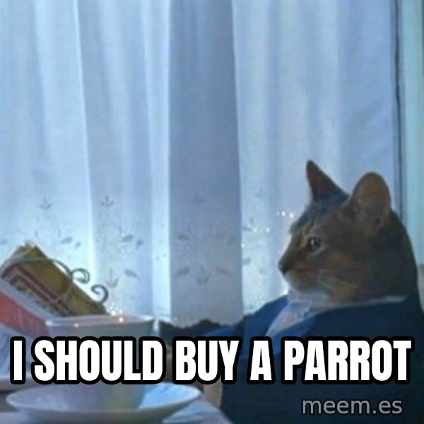 newspaper cat realization meme: I should buy a parrot