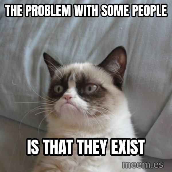 Grumpy cat good meme: the problem with some people / is that they exist
