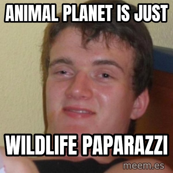 Stoner Stanley meme: animal planet is just / wildlife Paparazzi