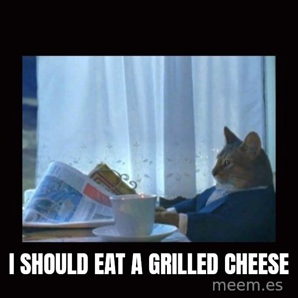 i should buy a boat cat meme: i should eat a grilled cheese