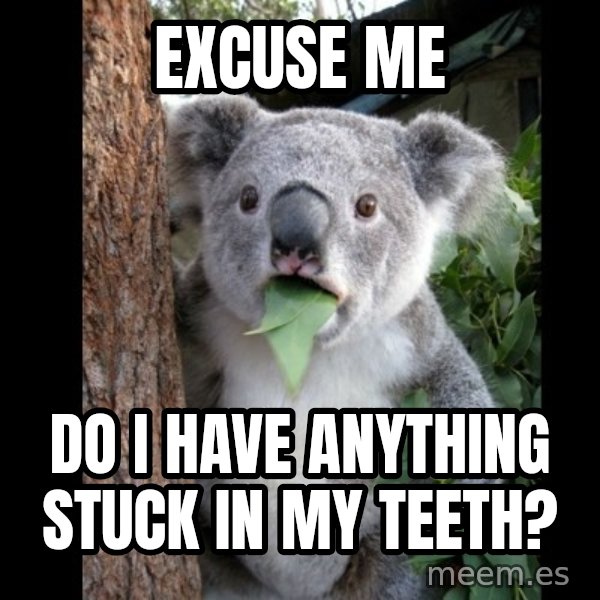 Koala can't believe it meme: Excuse me / Do I have anything stuck in my teeth?