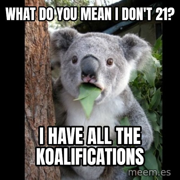 Koala can't believe it meme: What do you mean i Don't 21? / i have all the koalifications
