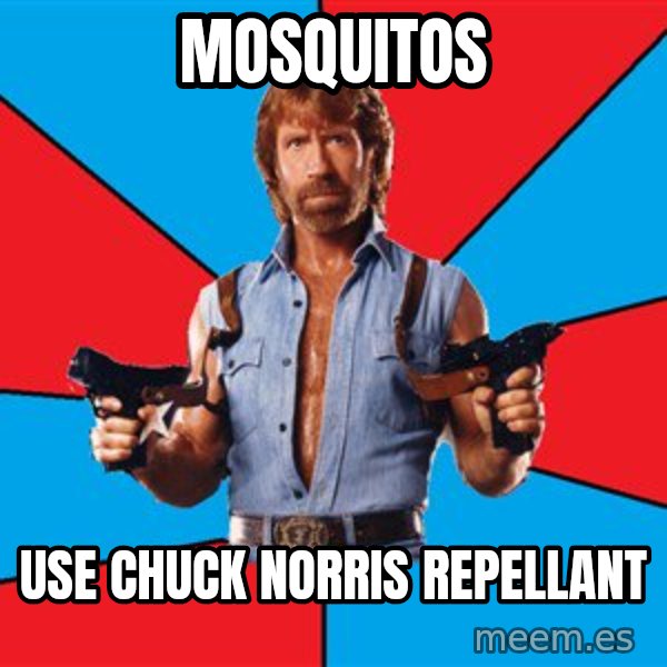 Chuck Norris  meme: mosquitos / use chuck norris repellant
