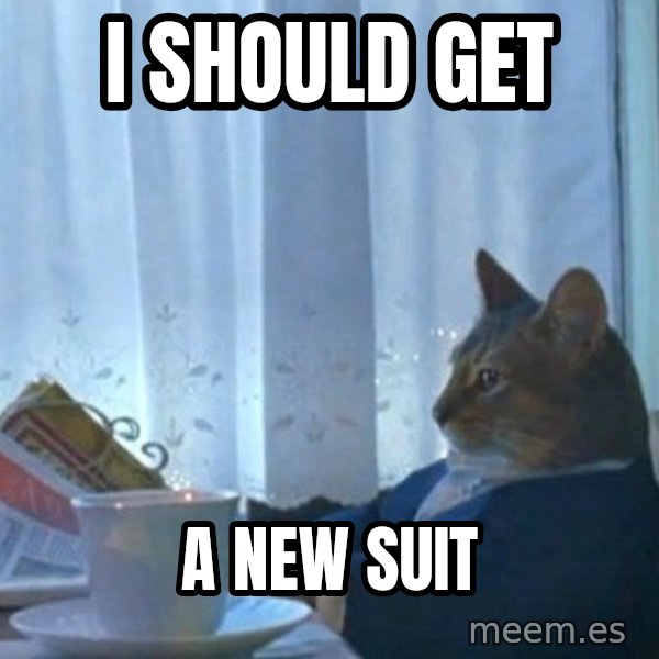 newspaper cat realization meme: i should get / a new suit