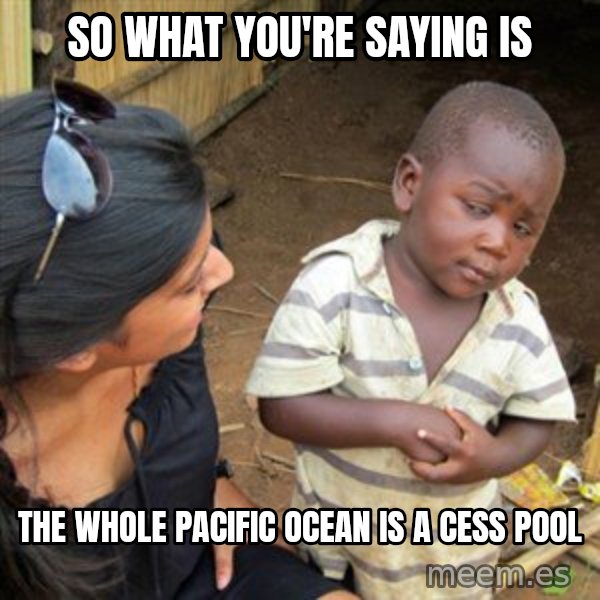 Skeptical 3rd World Kid meme: So what you're saying is / the whole pacific ocean is a cess pool