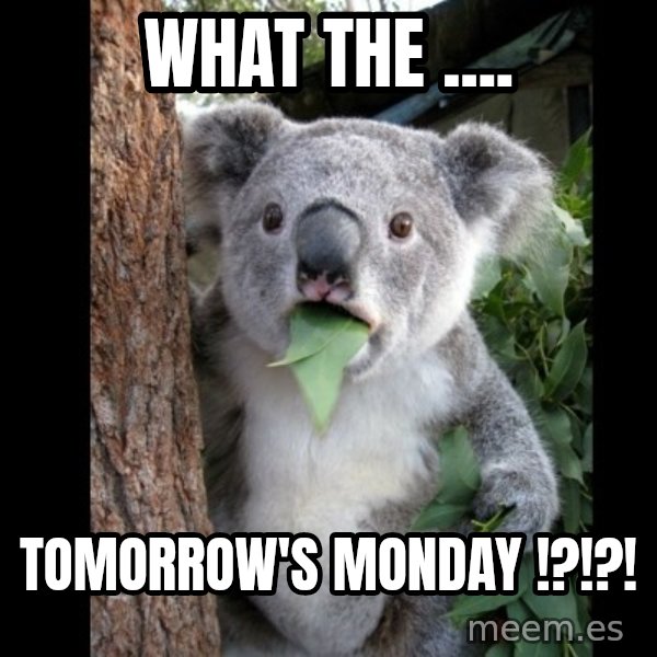 Koala can't believe it meme: WHat the .... / tomorrow's monday !?!?!