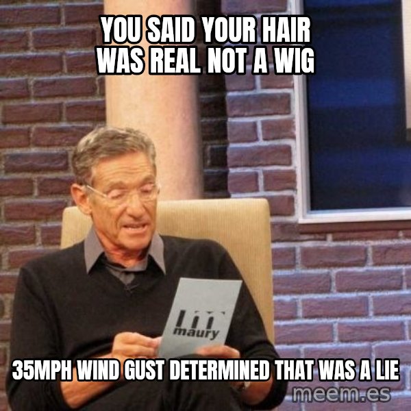 Maury Lie Detector meme: you said your hair was real not a wig / 35mph wind gust determined that was a lie