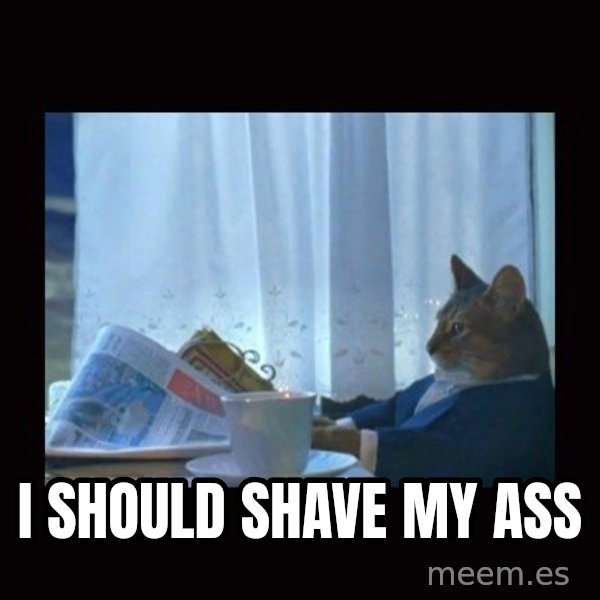 i should buy a boat cat meme: I should shave my ass