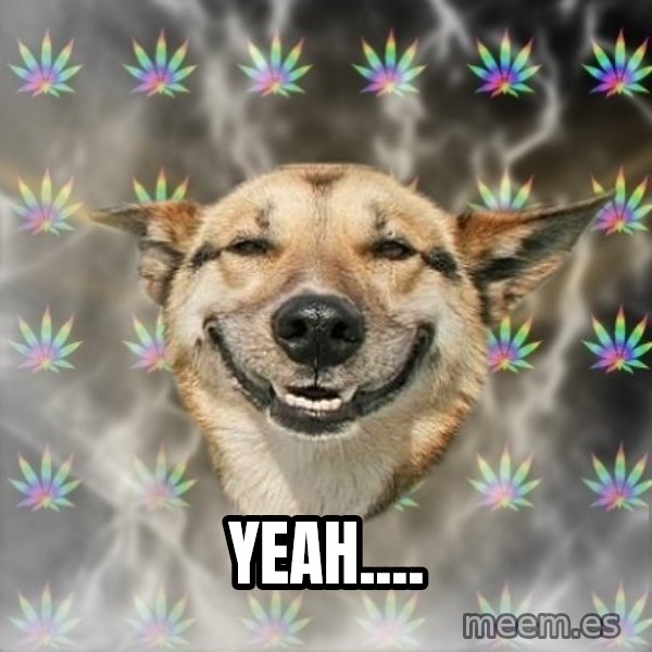 Stoner Dog meme: Yeah....
