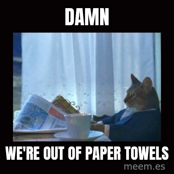 i should buy a boat cat meme: damn / we're out of paper towels