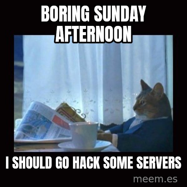 i should buy a boat cat meme: boring sunday afternoon / I should go hack some servers