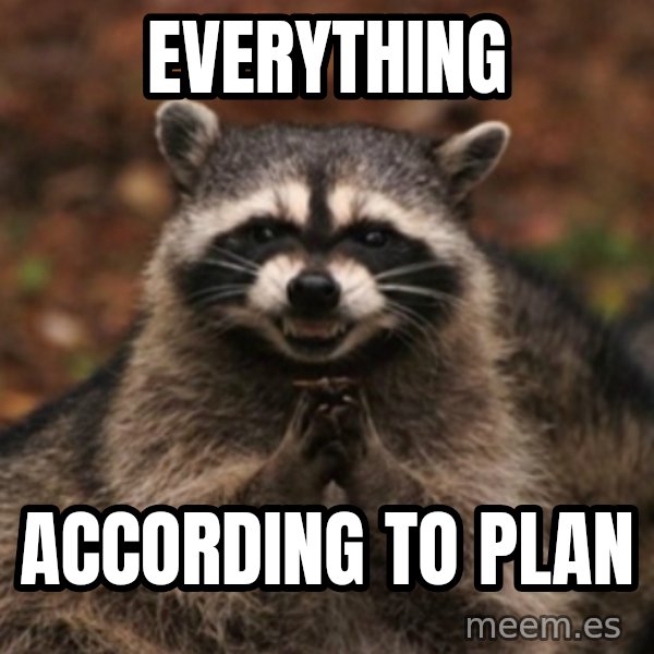 evil raccoon meme: everything / according to plan