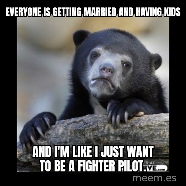 sad bear meme: Everyone is getting married and having kids / and i'm like i just want to be a fighter pilot.