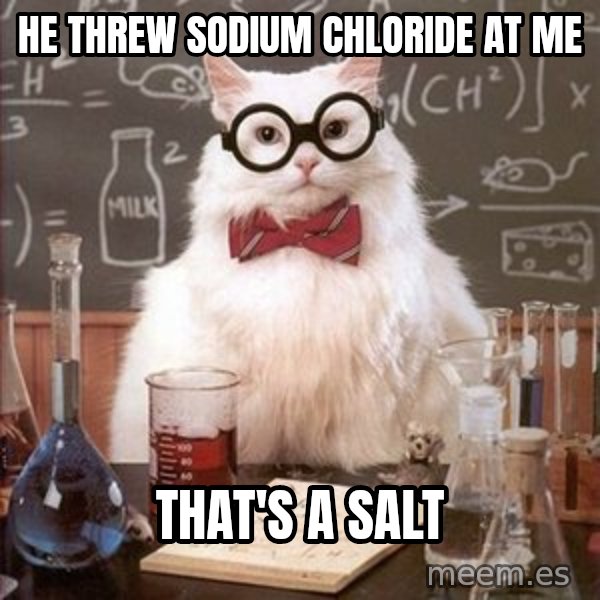 Chemistry Cat meme: he threw sodium chloride at me / that's a salt