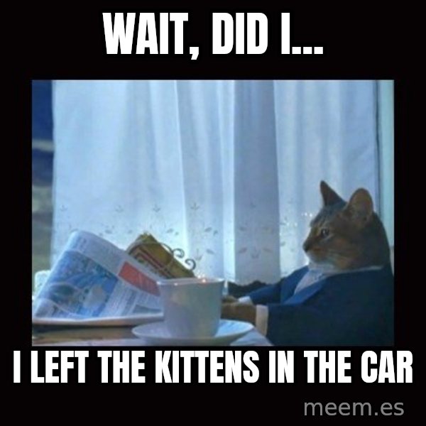 i should buy a boat cat meme: wait, Did I... / I left the kittens in the car