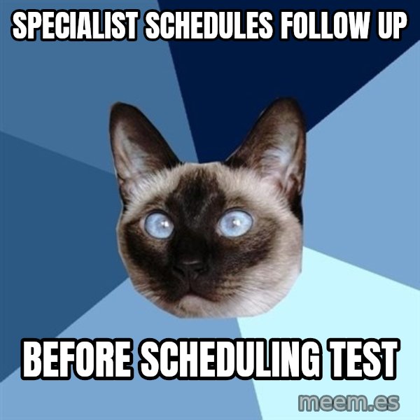 Chronic Illness Cat meme: Specialist schedules follow up / before scheduling test