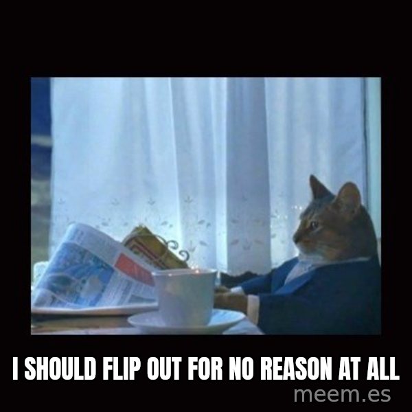 i should buy a boat cat meme: I should flip out for no reason at all