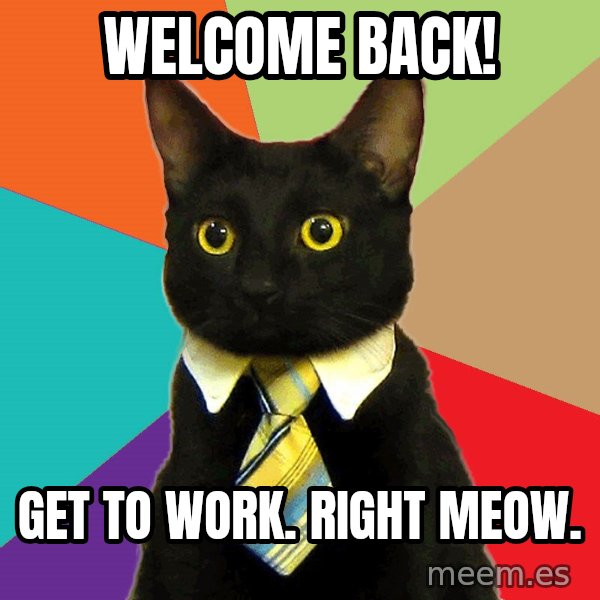 Business Cat meme: welcome back! / get to work. right meow.