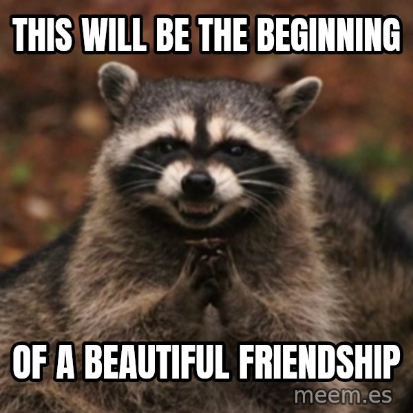 evil raccoon meme: this will be the beginning / of a beautiful friendship