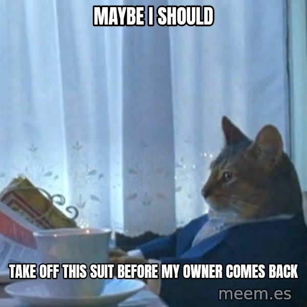 newspaper cat realization meme: Maybe i should / take off this suit before my owner comes back