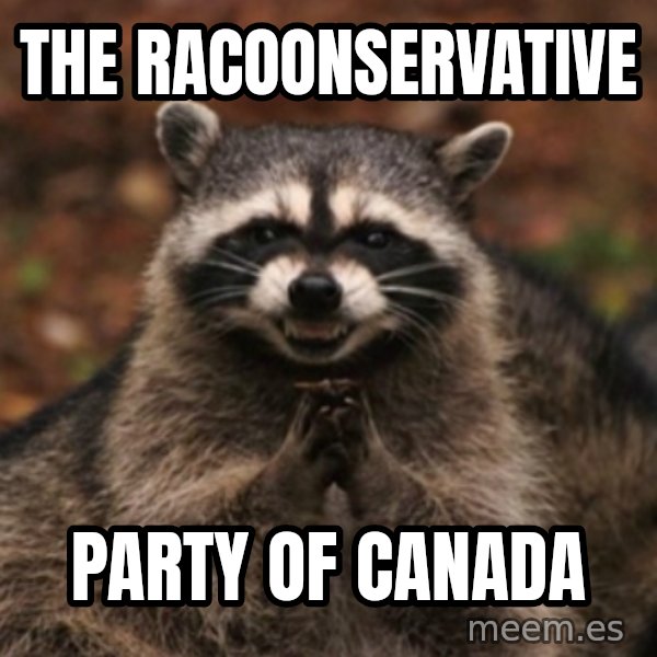 evil raccoon meme: the racoonservative / party of canada
