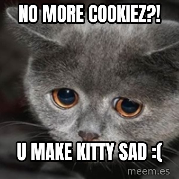 Sadcat meme: no more cookiez?! / u make kitty sad :(