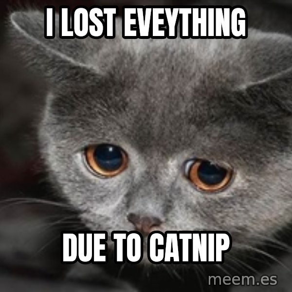 Sadcat meme: i lost eveything / due to catnip