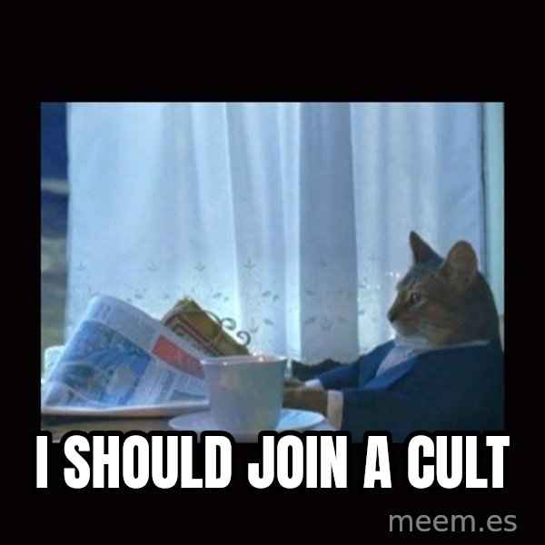 i should buy a boat cat meme: I should join a cult