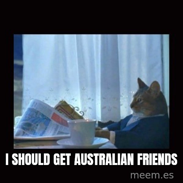 i should buy a boat cat meme: I should get australian friends