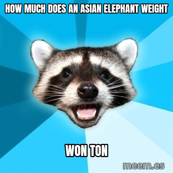 Lame Pun Coon meme: How much does an asian elephant weight / Won Ton