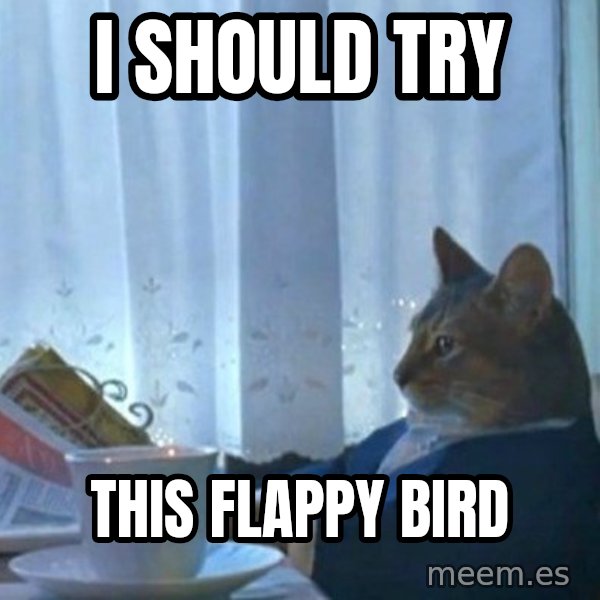 newspaper cat realization meme: i should try / this flappy bird